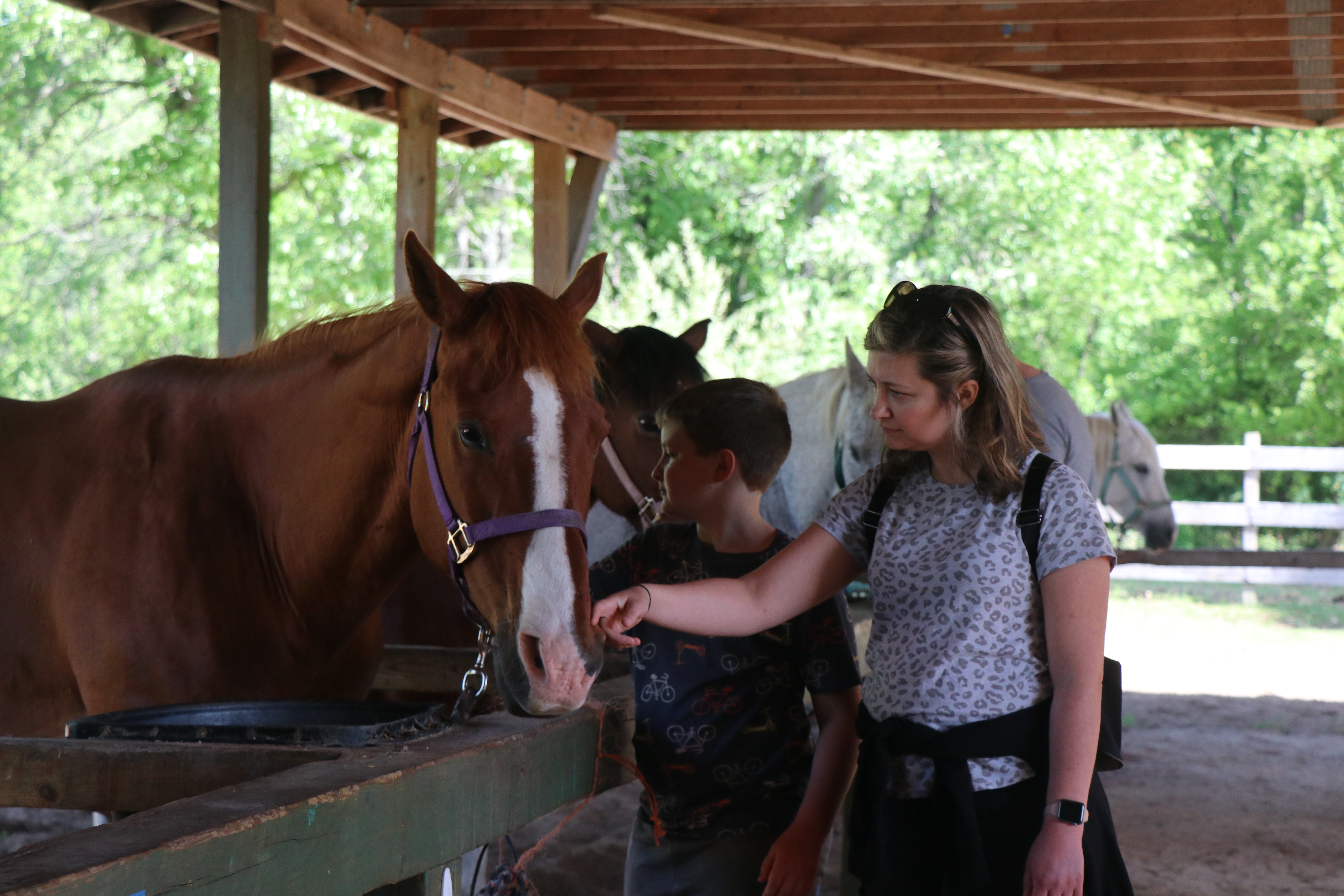 Mom and son looking at a Camp Henry horse