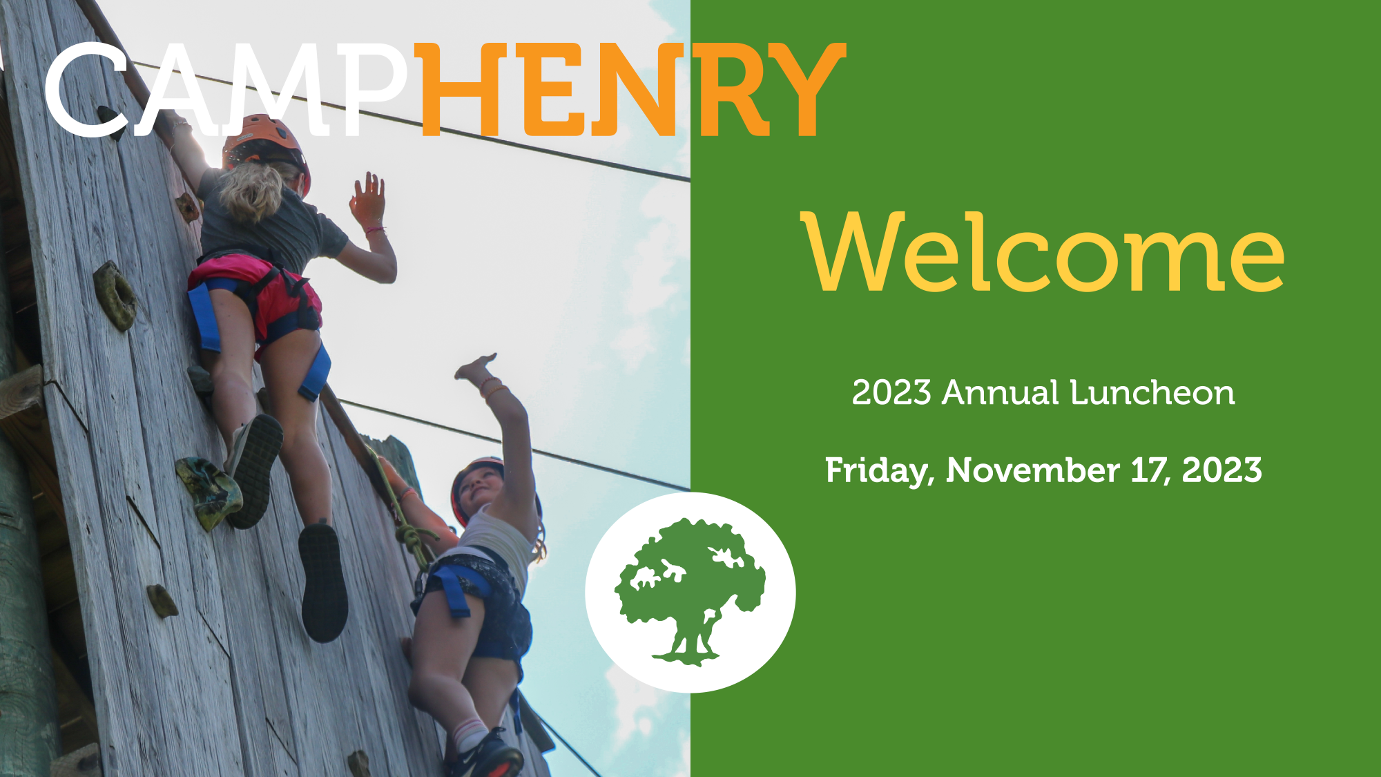 Virtual Luncheon Options